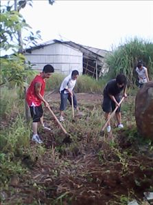 20101215000244666.jpg